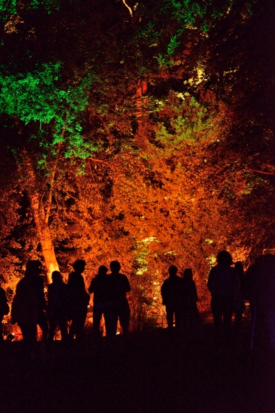 Son et Lumière