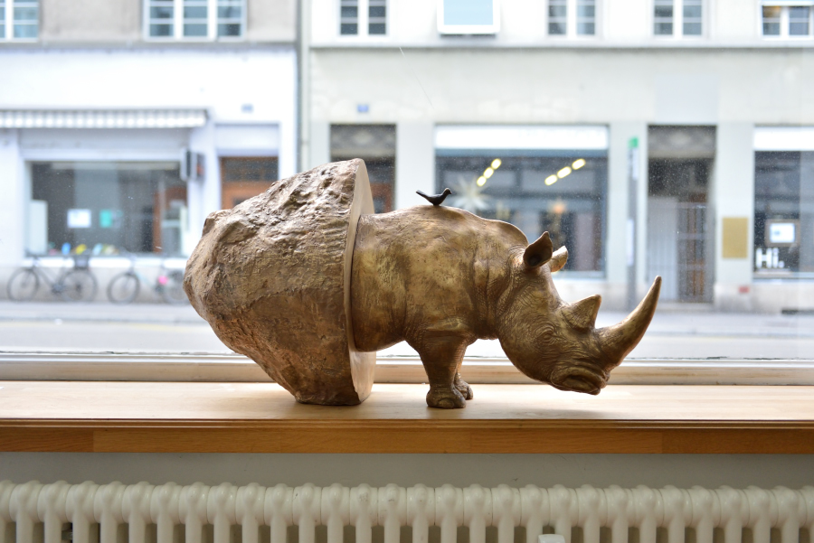 Galerie Katapult