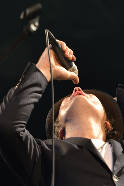 Babyshambles . 2014