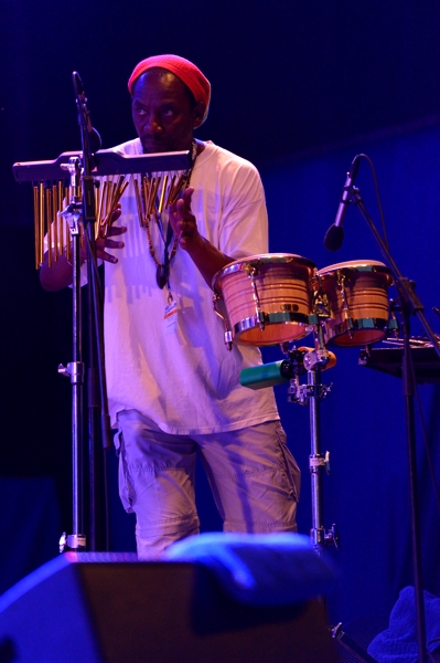 Clinton Fearon & Boogie Brow Band 2015